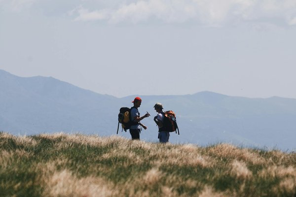 Forfaits Tout Inclus vs. Options Personnalisées : Quelle Alternative Économique Choisir ?