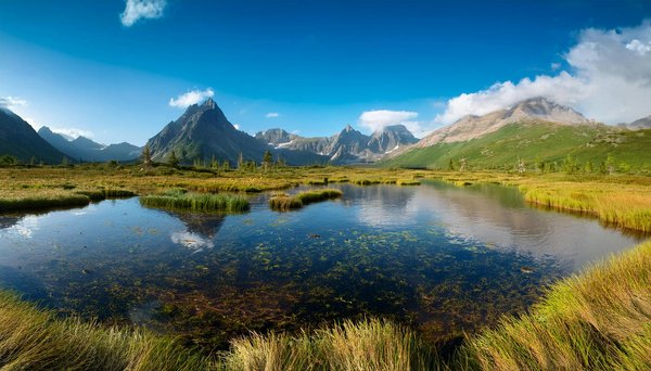 Les Légendes Envoûtantes des Cimes Françaises : Récits Extraordinaires des Massifs Montagneux